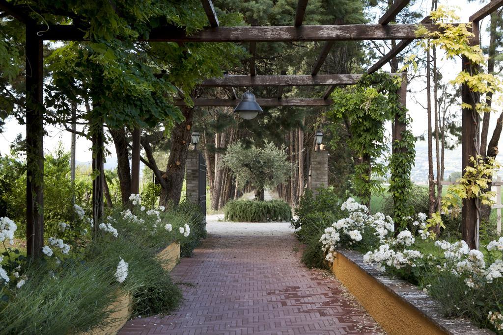 Resort E Spa San Crispino Asís Exterior foto